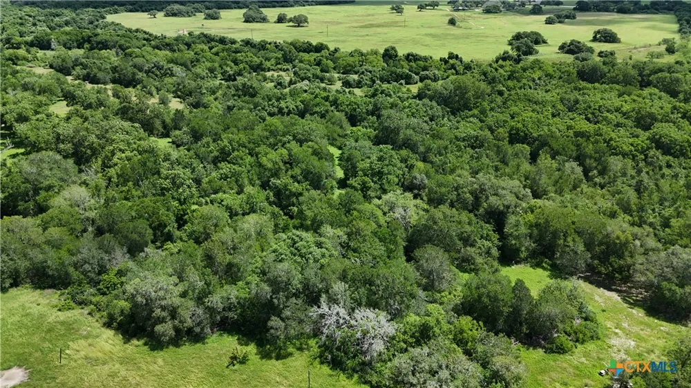 750 Lassman Road Goliad, TX 77963