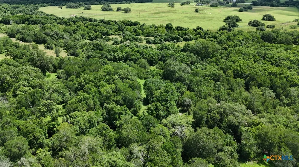 750 Lassman Road Goliad, TX 77963