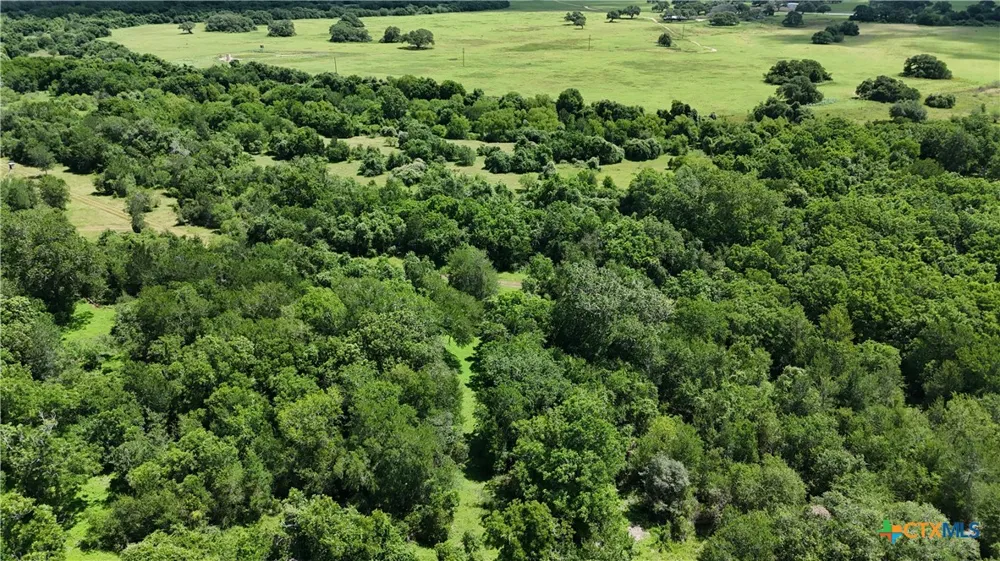 750 Lassman Road Goliad, TX 77963