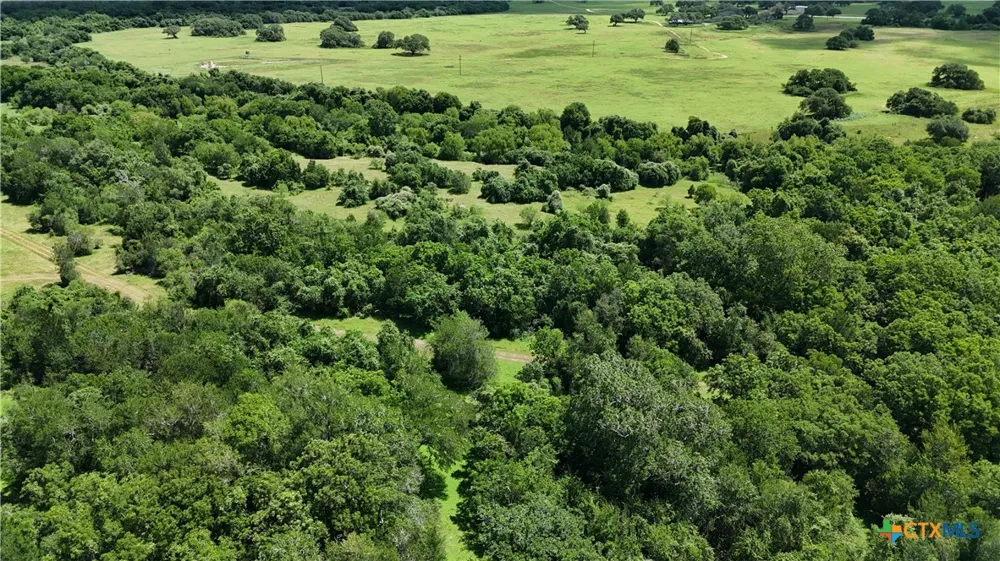750 Lassman Road Goliad, TX 77963