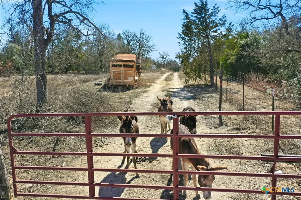 1310 Perry Lane Thorndale, TX 76577