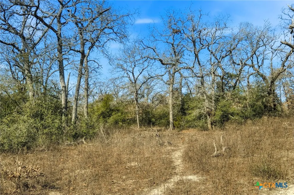 1310 Perry Lane Thorndale, TX 76577