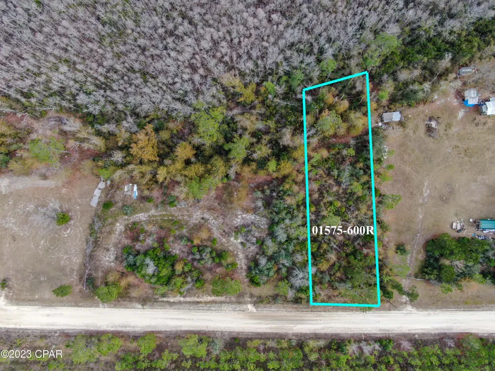 706 Dead Lakes Drive Wewahitchka, FL 32465