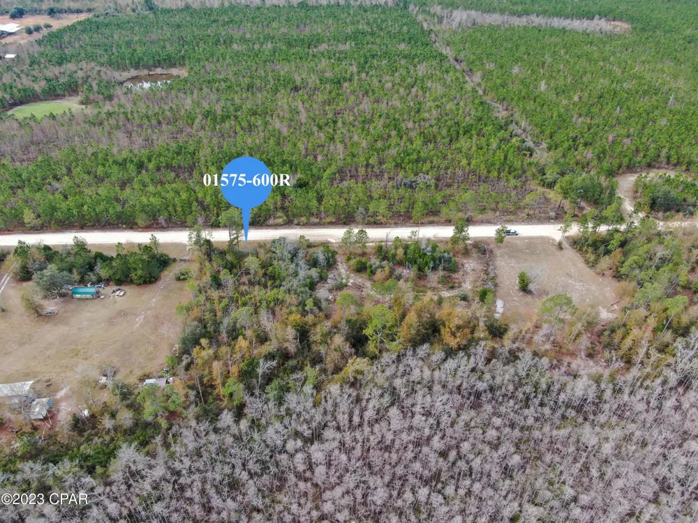 706 Dead Lakes Drive Wewahitchka, FL 32465