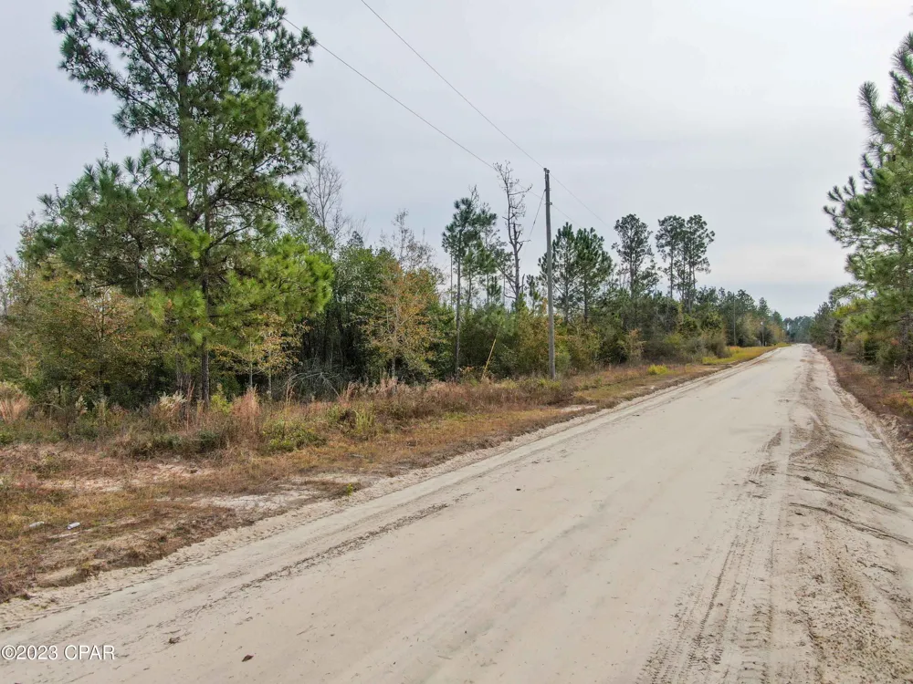 706 Dead Lakes Drive Wewahitchka, FL 32465