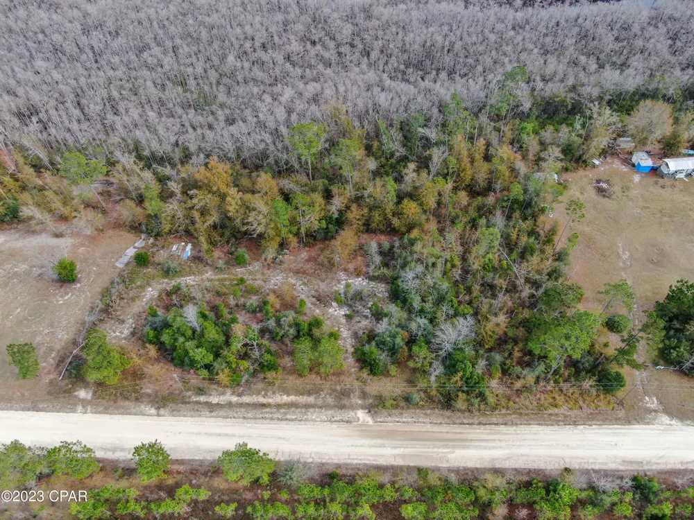 706 Dead Lakes Drive Wewahitchka, FL 32465