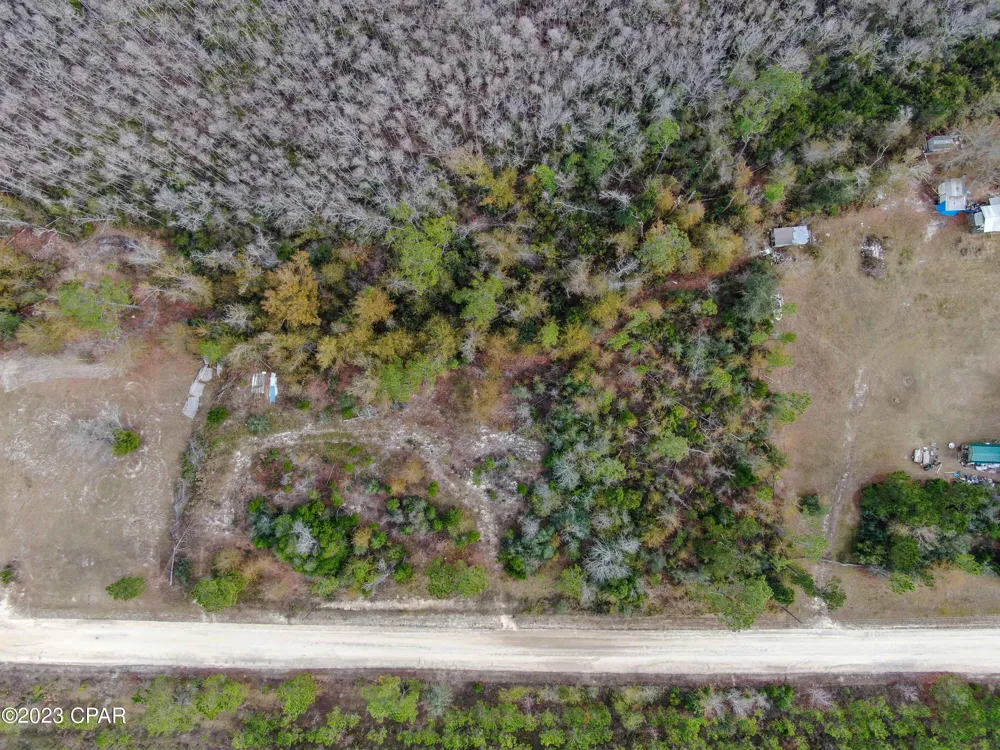 706 Dead Lakes Drive Wewahitchka, FL 32465