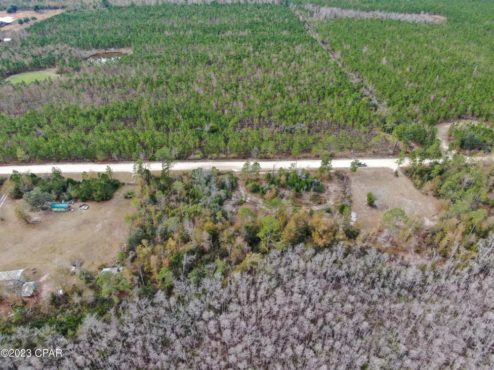 706 Dead Lakes Drive Wewahitchka, FL 32465