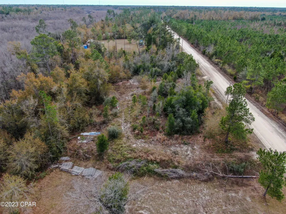 706 Dead Lakes Drive Wewahitchka, FL 32465