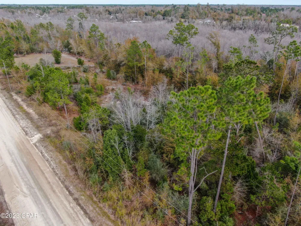 706 Dead Lakes Drive Wewahitchka, FL 32465
