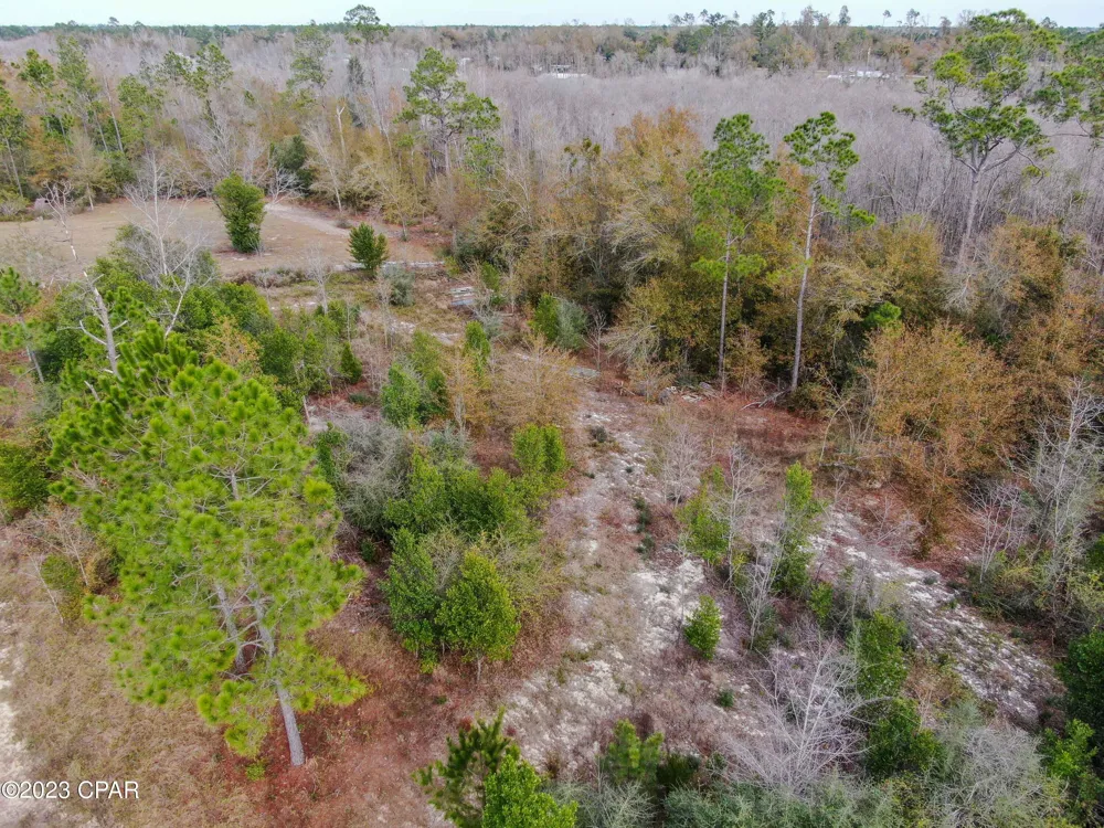 706 Dead Lakes Drive Wewahitchka, FL 32465