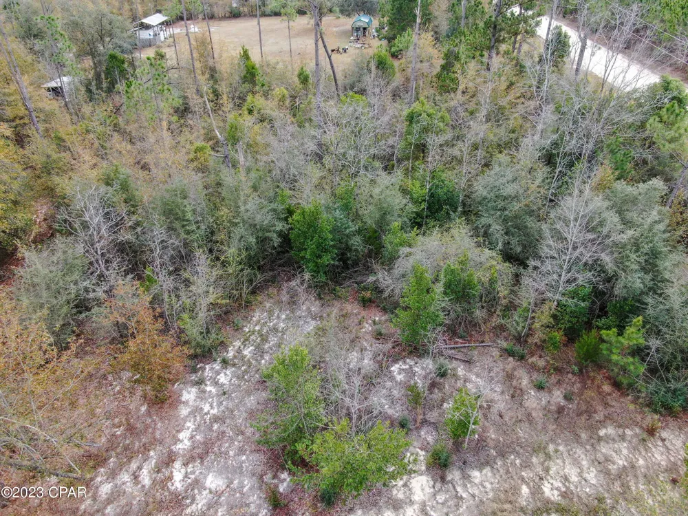 706 Dead Lakes Drive Wewahitchka, FL 32465