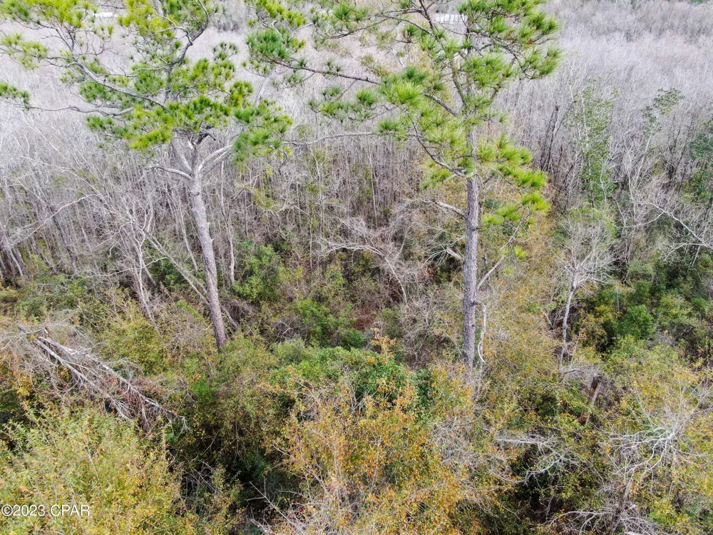 706 Dead Lakes Drive Wewahitchka, FL 32465