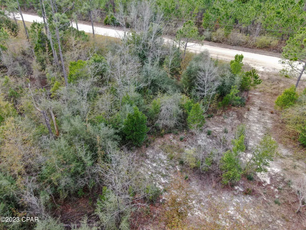 706 Dead Lakes Drive Wewahitchka, FL 32465