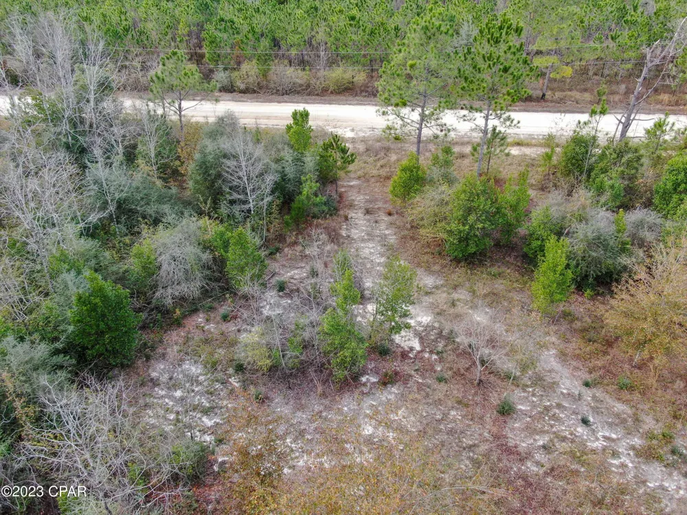 706 Dead Lakes Drive Wewahitchka, FL 32465