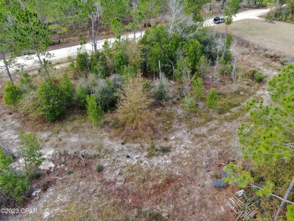 706 Dead Lakes Drive Wewahitchka, FL 32465
