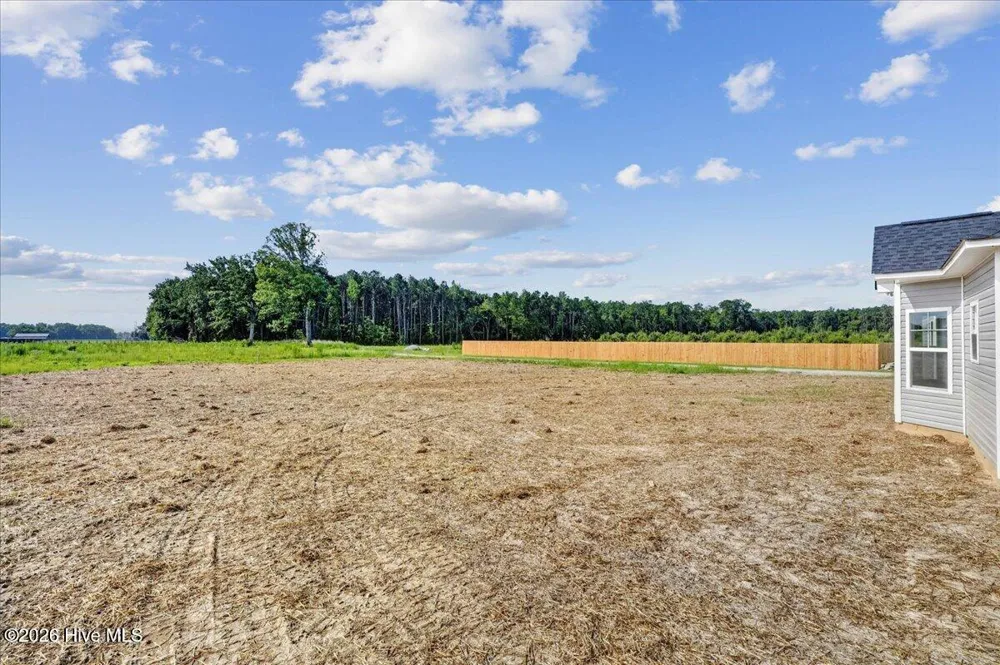 208 Talton Estates Drive Pikeville, NC 27863