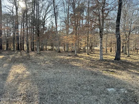 173 Roanoke Drive