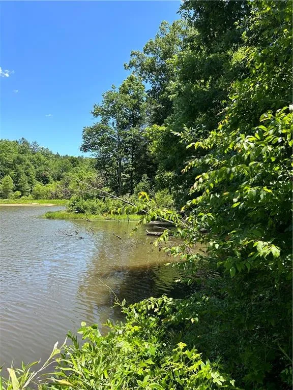 00 Sawtooth Place Carnesville, GA 30521