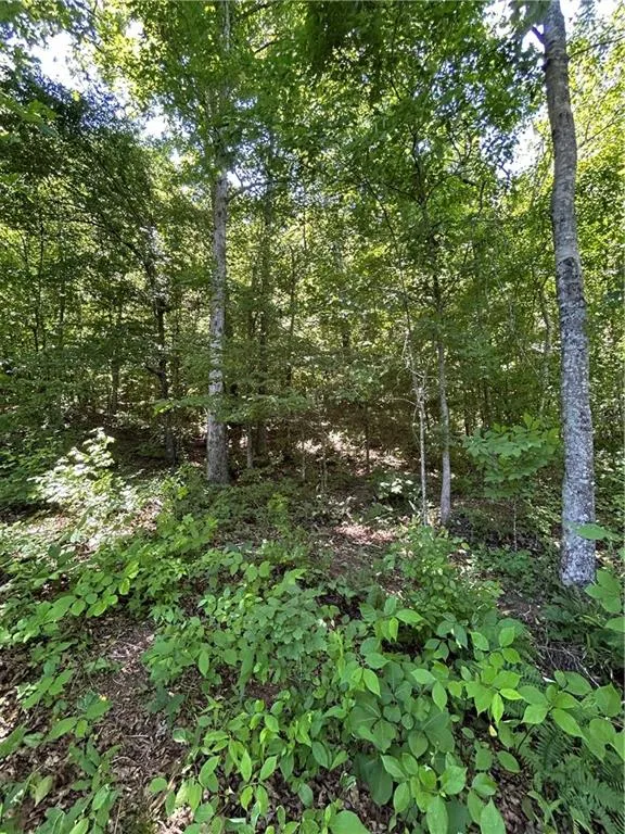 00 Sawtooth Place Carnesville, GA 30521