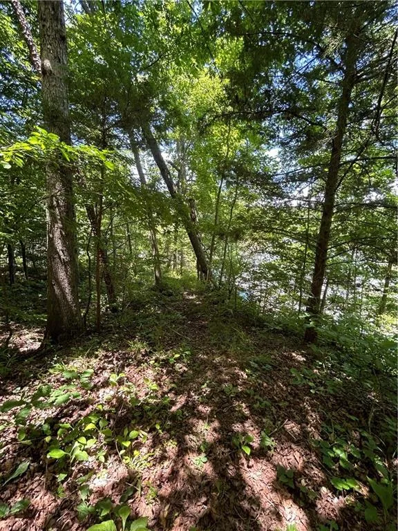 00 Sawtooth Place Carnesville, GA 30521