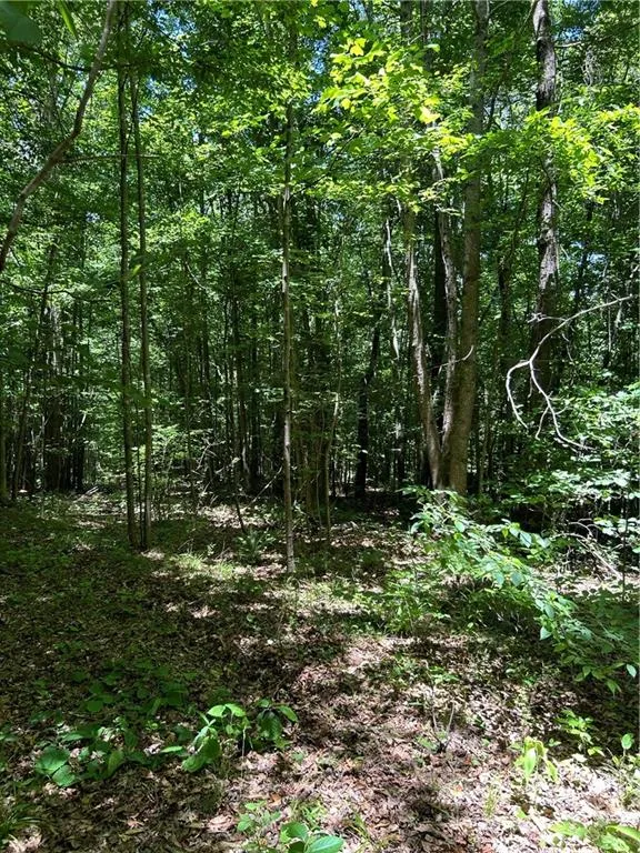 00 Sawtooth Place Carnesville, GA 30521
