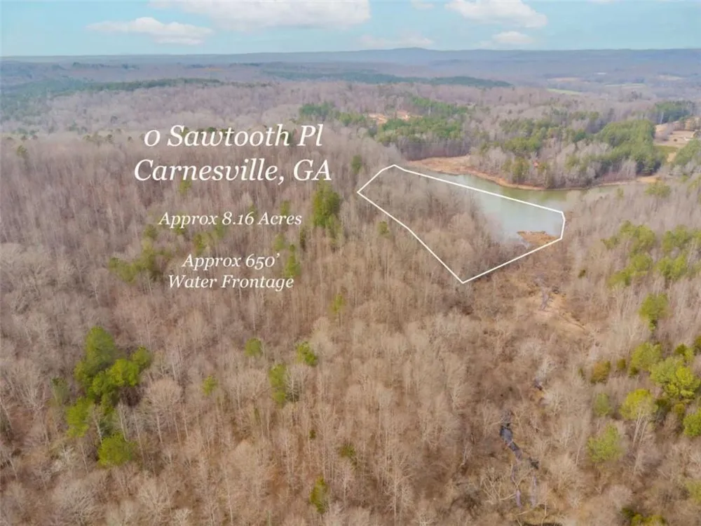 00 Sawtooth Place Carnesville, GA 30521