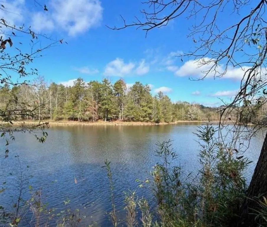 00 Sawtooth Place Carnesville, GA 30521