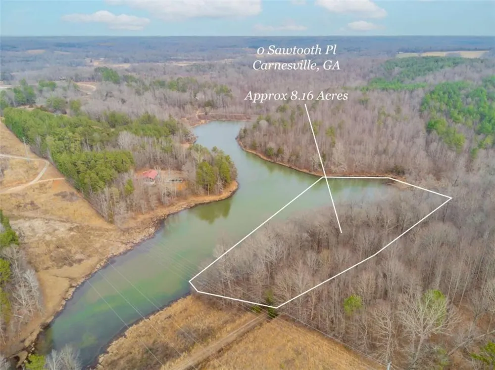 00 Sawtooth Place Carnesville, GA 30521