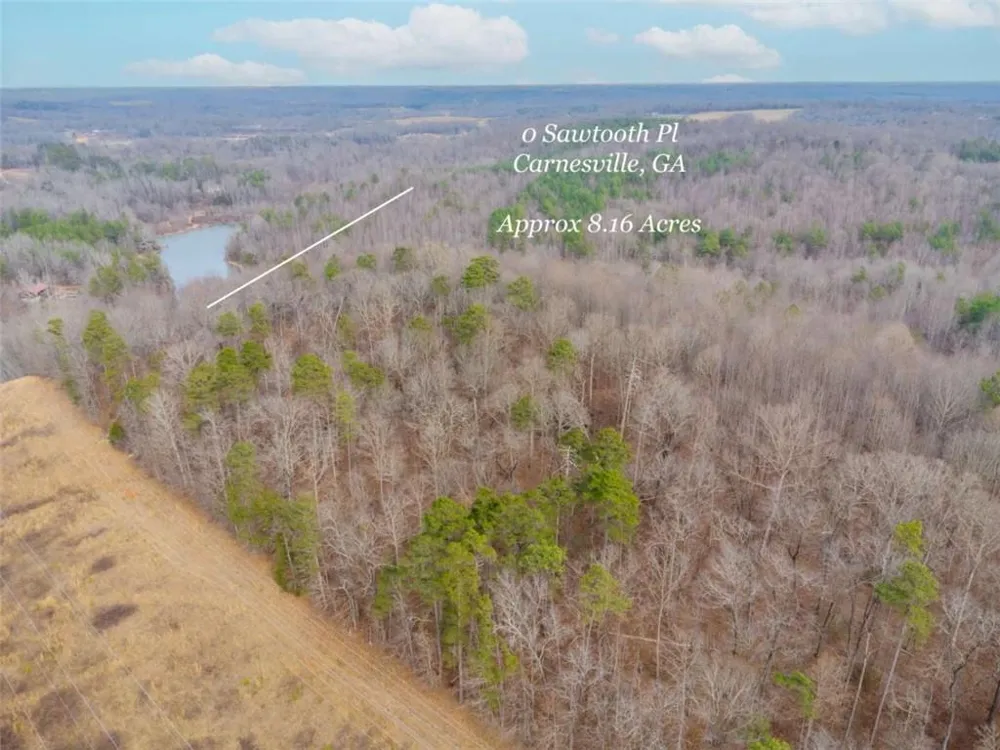 00 Sawtooth Place Carnesville, GA 30521
