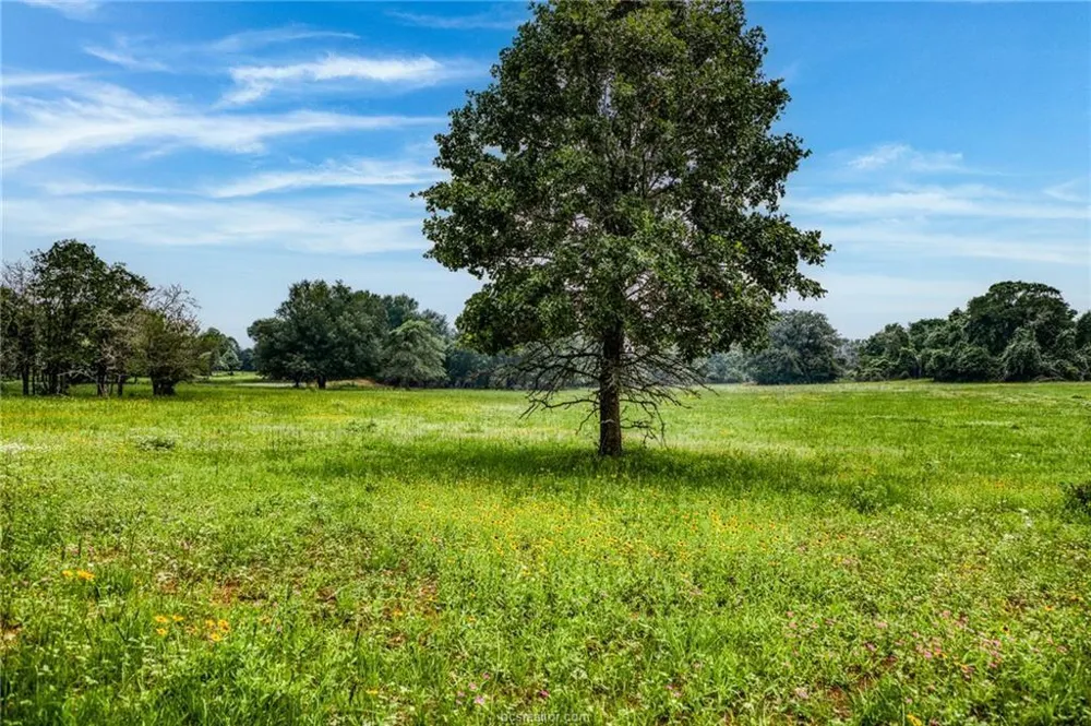 10610 County Road 322 Caldwell, TX 77836