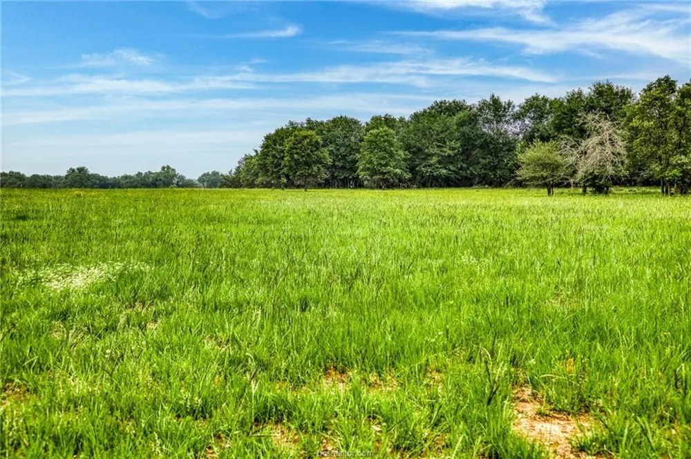 10610 County Road 322 Caldwell, TX 77836