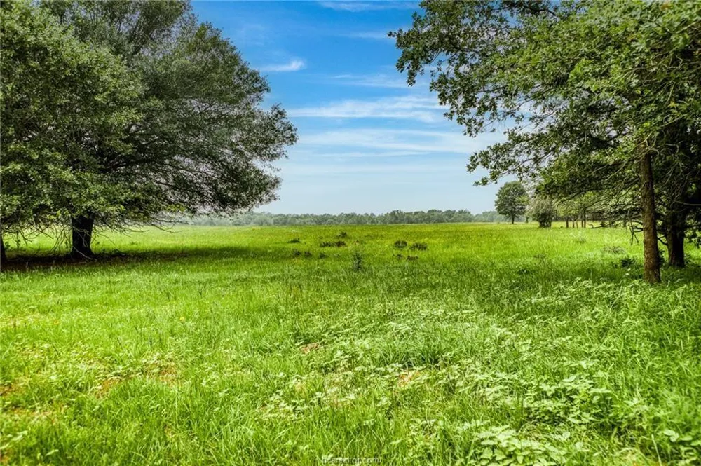 10610 County Road 322 Caldwell, TX 77836