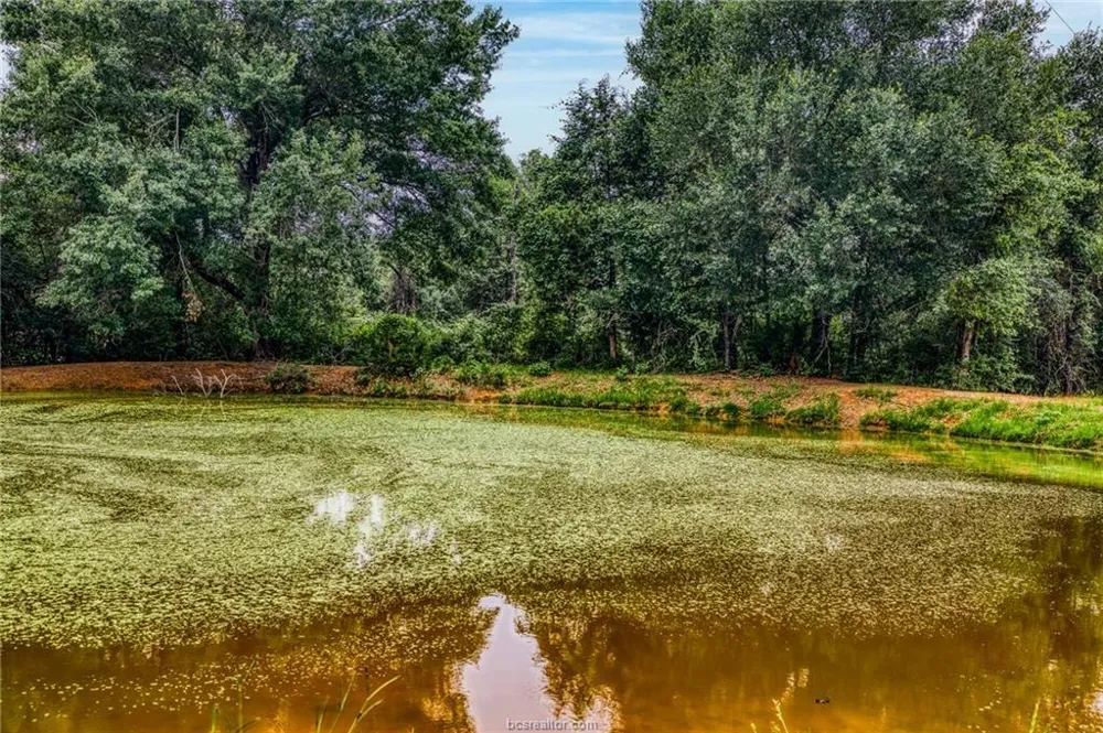 10610 County Road 322 Caldwell, TX 77836