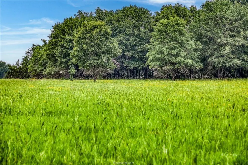10610 County Road 322 Caldwell, TX 77836