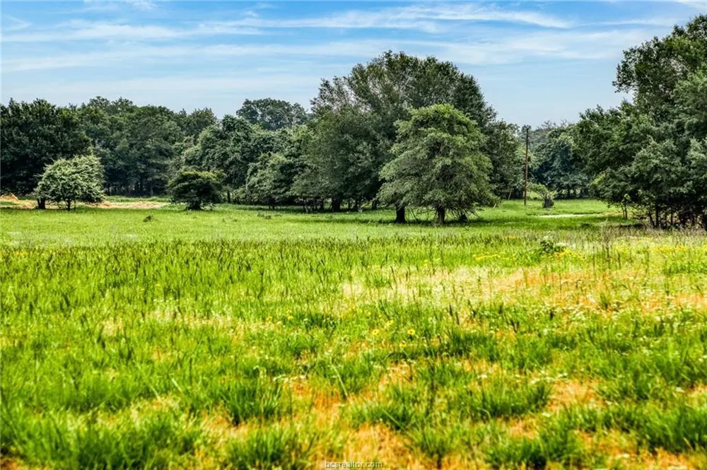 10610 County Road 322 Caldwell, TX 77836
