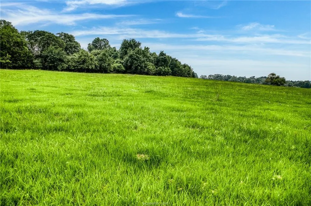 10610 County Road 322 Caldwell, TX 77836