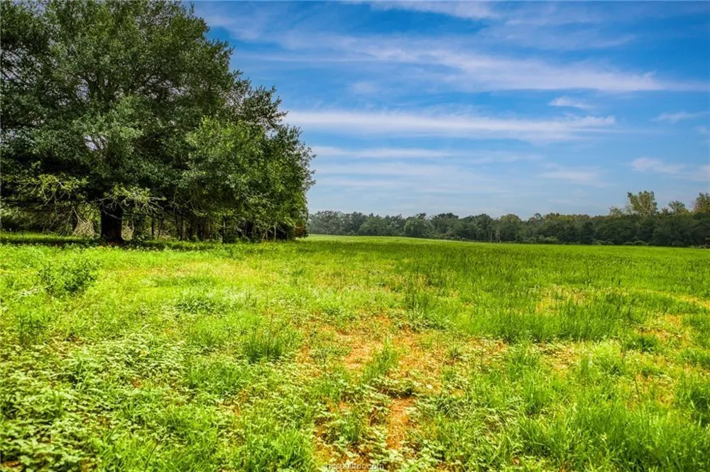 10610 County Road 322 Caldwell, TX 77836