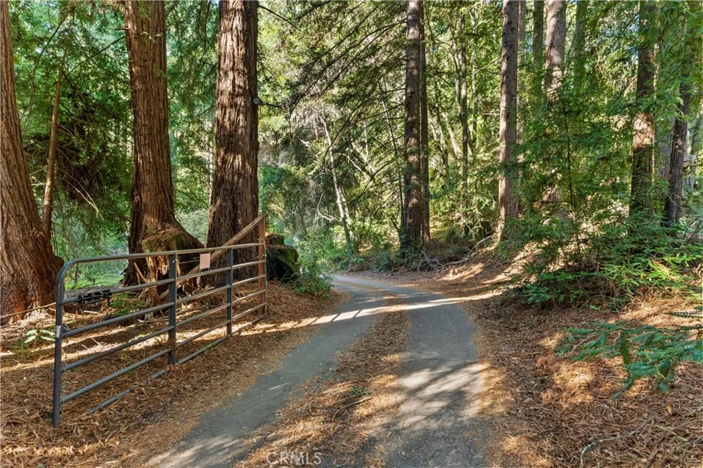 4419 Trout Gulch Aptos, CA 95003
