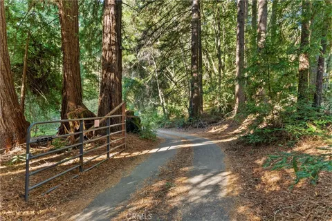 4419 Trout Gulch