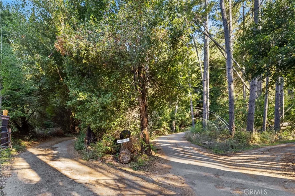 4419 Trout Gulch Aptos, CA 95003