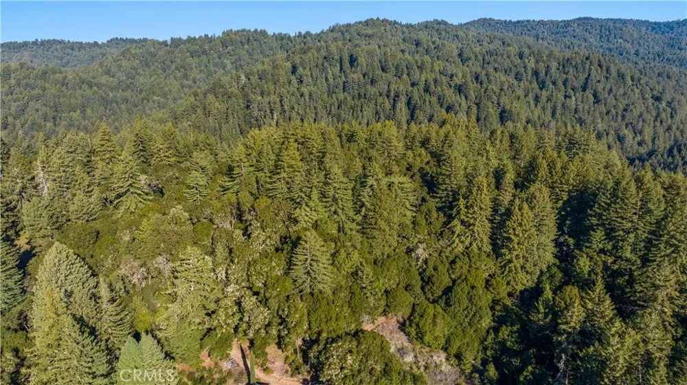 4419 Trout Gulch Aptos, CA 95003
