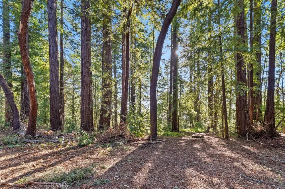 4419 Trout Gulch Aptos, CA 95003