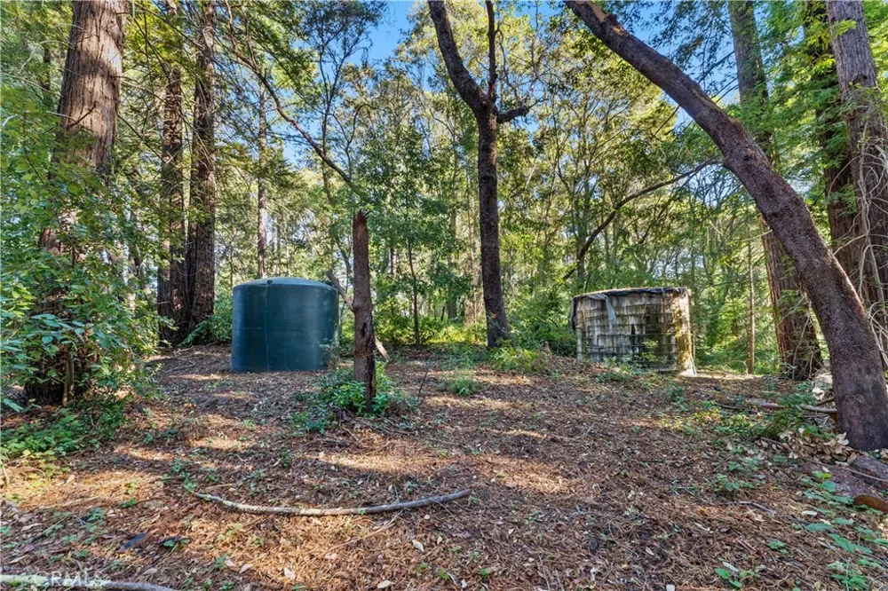 4419 Trout Gulch Aptos, CA 95003