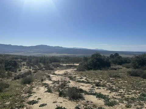 40368 Elm Brush Trail