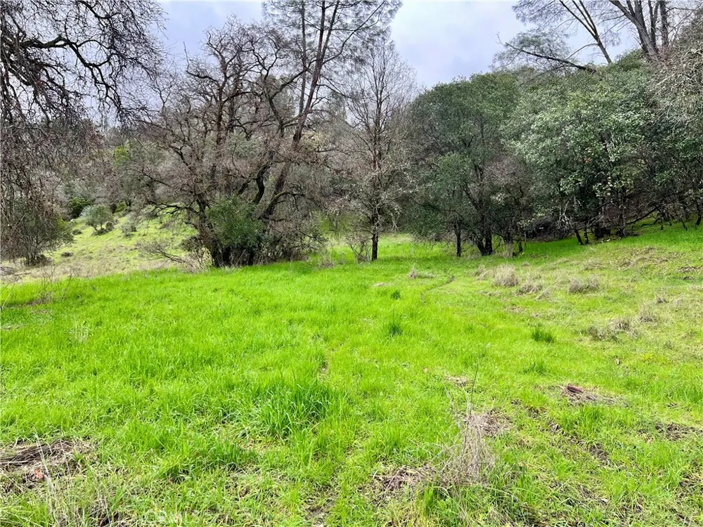 6590 Hotel Road Lucerne, CA 95458