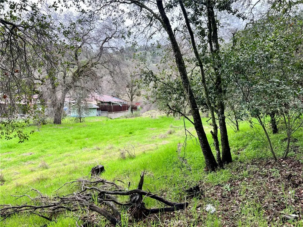 6590 Hotel Road Lucerne, CA 95458
