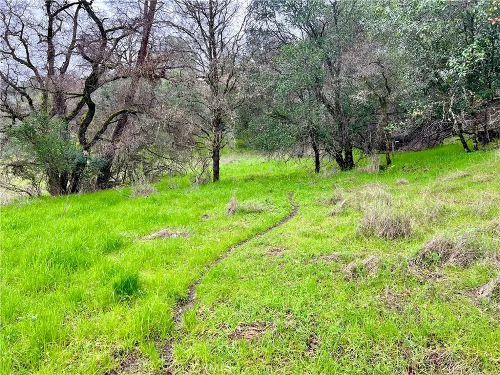 6590 Hotel Road Lucerne, CA 95458
