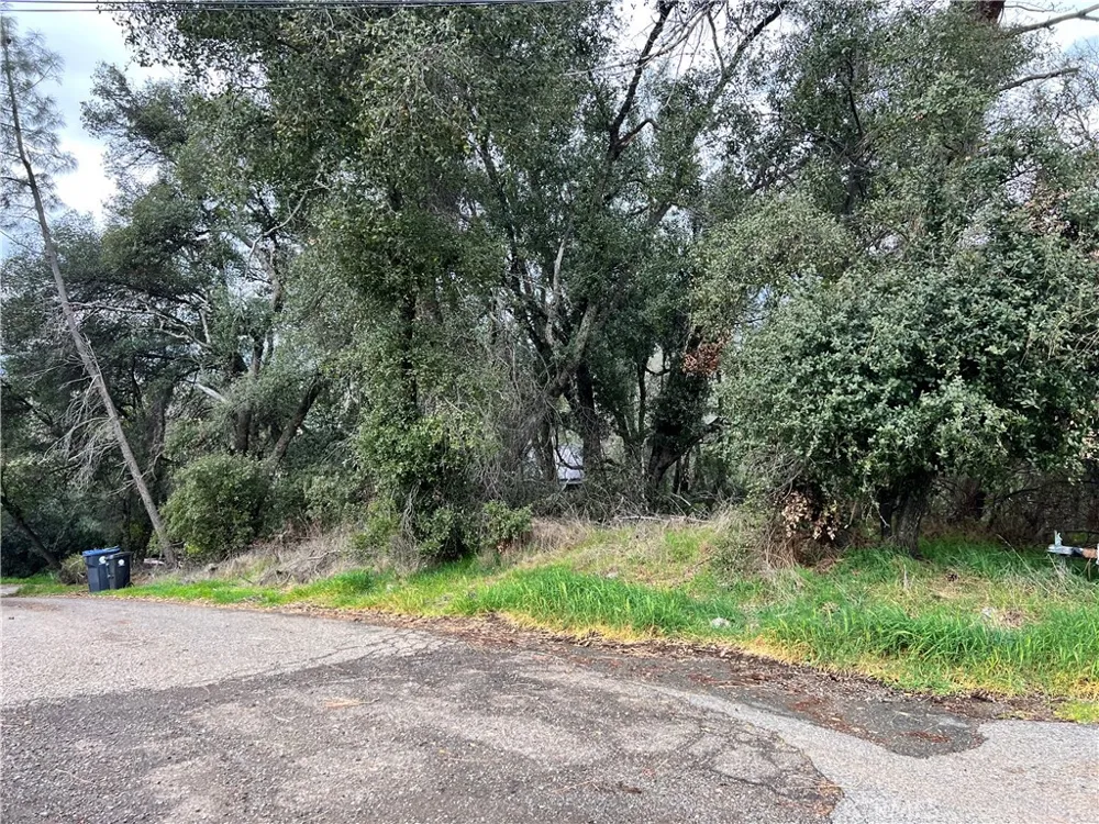 7166 Butte Court Nice, CA 95464