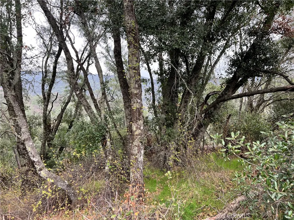 7166 Butte Court Nice, CA 95464